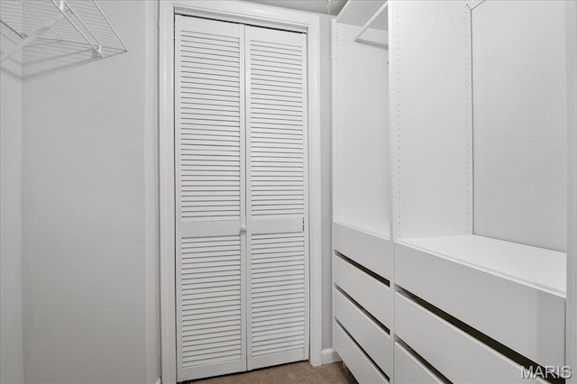 2014 Greenglen Dr Unit 101, Saint Louis, MO 63122 - spacious closet featuring dark carpet