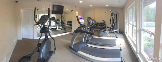 2014 Greenglen Dr Unit 101, Saint Louis, MO 63122 - workout area with healthy amount of natural light and recessed lighting