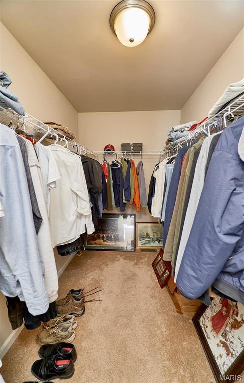 440 Winchester Way, Winfield, MO 63389 - spacious closet featuring carpet floors