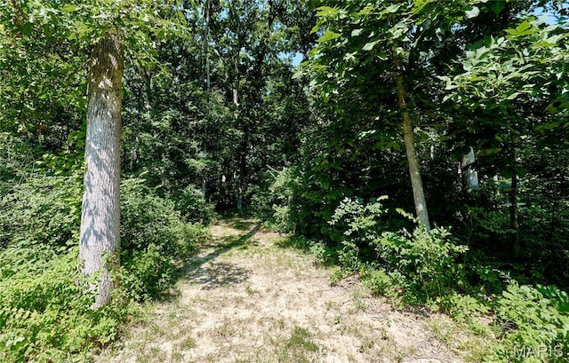 440 Winchester Way, Winfield, MO 63389 - view of local wilderness