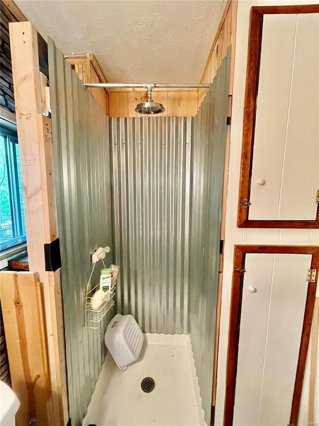 6405 Robin Ln, French Village, MO 63036 - bathroom with a stall shower