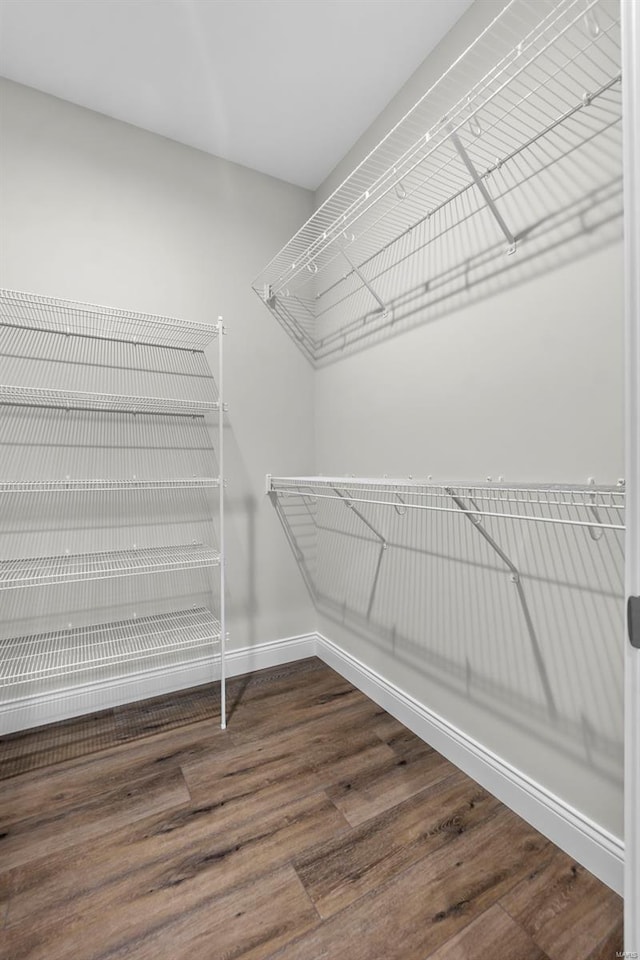 16 Creekside Way, Cape Girardeau, MO 63701 - walk in closet with wood finished floors