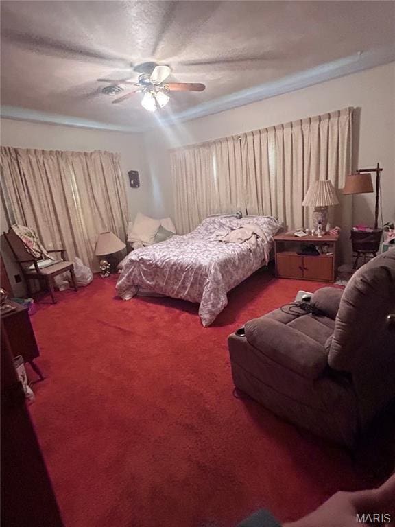 298 Mcleod St, Cuba, MO 65453 - photo 21