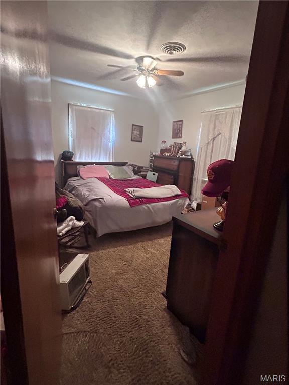 298 Mcleod St, Cuba, MO 65453 - photo 23