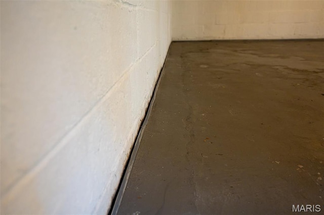 2917 Grand Ave, Granite City, IL 62040 - detailed view of concrete block wall and concrete flooring
