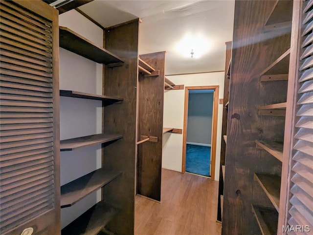 303 N Main St, Campbell, MO 63933 - spacious closet featuring light wood-style flooring