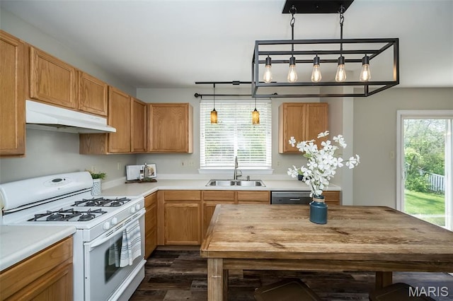 1168 Oak Hollow Dr, Imperial, MO 63052 - kitchen with white range with gas stovetop, under cabinet range hood, a sink, and healthy amount of natural light