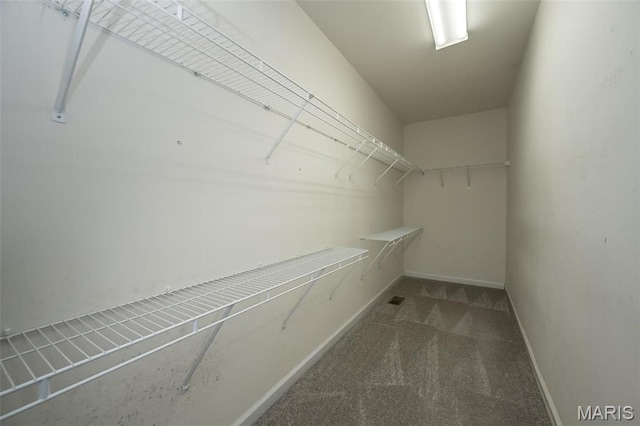 1168 Oak Hollow Dr, Imperial, MO 63052 - spacious closet with carpet flooring