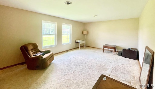 5815 Robin Ln, Troy, MO 63379 - sitting room featuring carpet and a fireplace