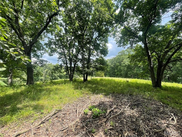 5815 Robin Ln, Troy, MO 63379 - view of tree filled area