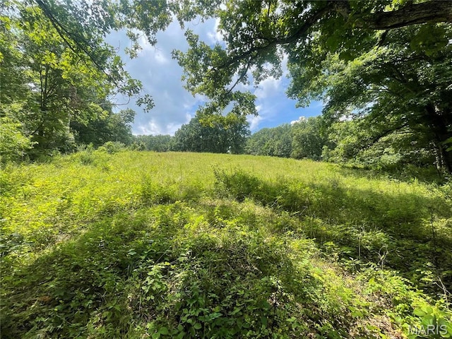 5815 Robin Ln, Troy, MO 63379 - view of wooded area