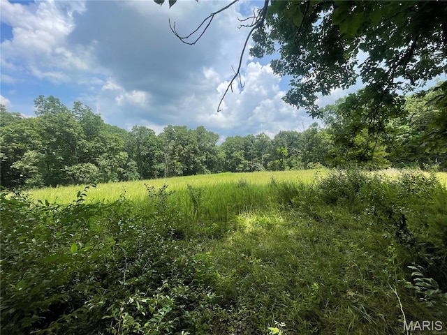 5815 Robin Ln, Troy, MO 63379 - view of wooded area