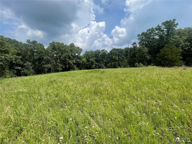 5815 Robin Ln, Troy, MO 63379 - view of woods