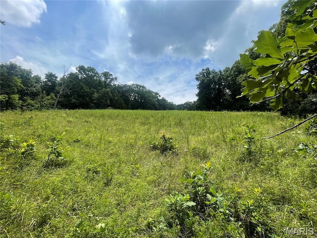 5815 Robin Ln, Troy, MO 63379 - view of undeveloped land