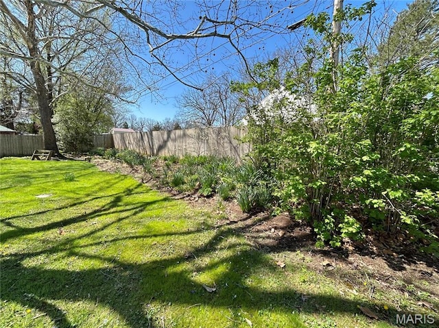 1101 S Mildred Blvd, Salem, MO 65560 - view of yard