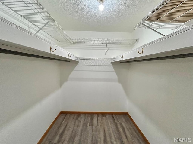 1101 S Mildred Blvd, Salem, MO 65560 - walk in closet with dark wood-style floors