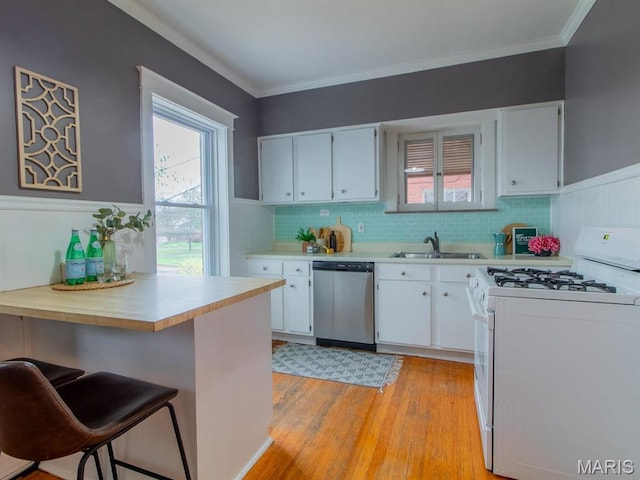 kitchen with gas range gas stove, dishwasher, a sink, light countertops, and a wainscoted wall