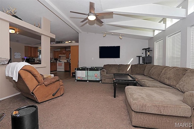 301 Kimberly Dr, Scott City, MO 63780 - living room featuring carpet and ceiling fan