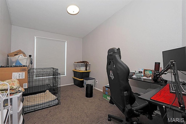 301 Kimberly Dr, Scott City, MO 63780 - carpeted home office with lofted ceiling, baseboards, and a textured wall