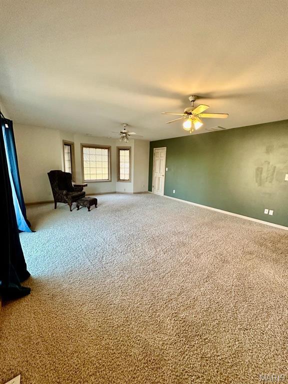 209 S Davis, East Prairie, MO 63845 - photo 11