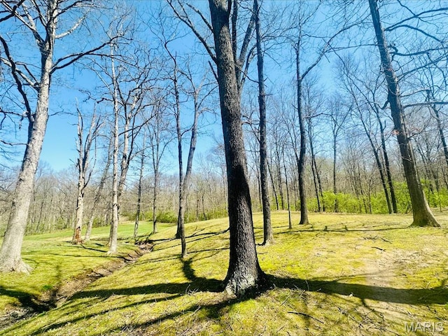 view of tree filled area