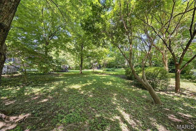 837 Tuxedo Blvd, Saint Louis, MO 63119 - view of green lawn
