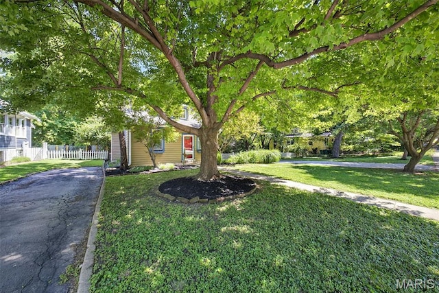 837 Tuxedo Blvd, Saint Louis, MO 63119 - view of obstructed view of property