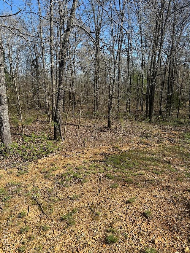 949 Ripley 21n-4, Doniphan, MO 63935 - view of local wilderness