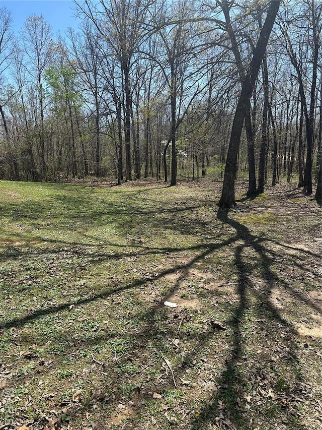 949 Ripley 21n-4, Doniphan, MO 63935 - view of woods