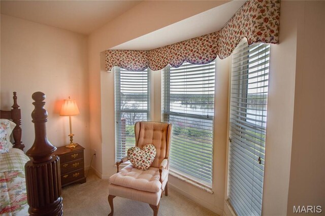 sitting room featuring carpet floors, healthy amount of natural light, and baseboards