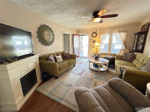 705 E Gibbs St, Salem, MO 65560 - living room with wood finished floors, a ceiling fan, and crown molding