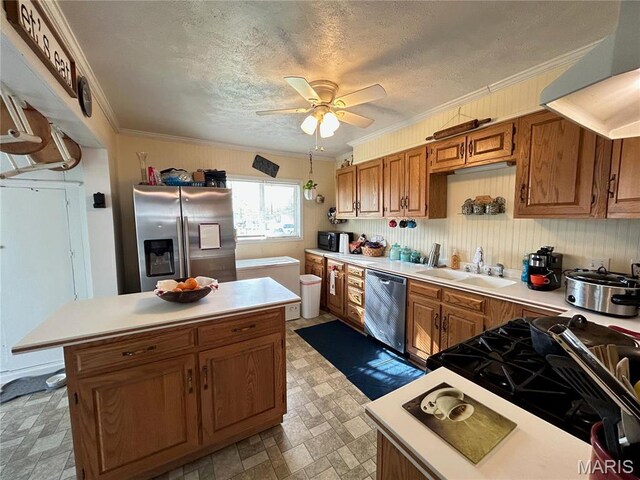 705 E Gibbs St, Salem, MO 65560 - kitchen featuring stainless steel appliances, a sink, wall chimney range hood, ceiling fan, and light countertops