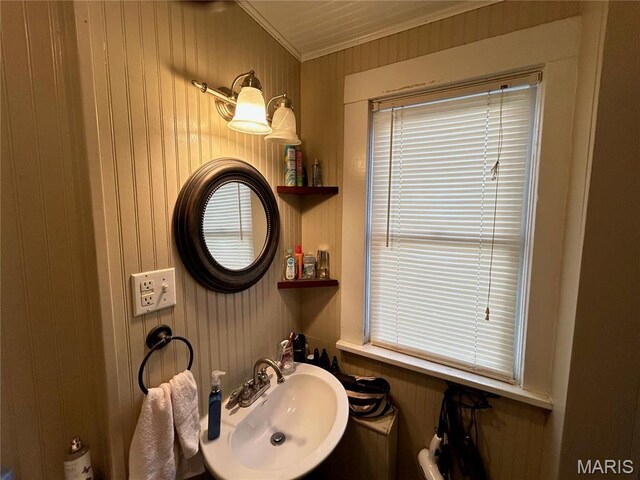 705 E Gibbs St, Salem, MO 65560 - bathroom featuring a sink, ornamental molding, and wood walls