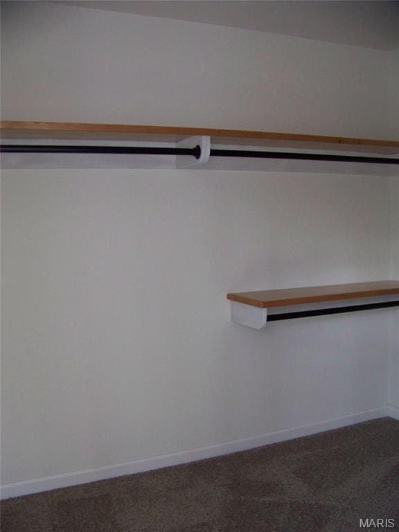 622 Scottsvale Dr, Rolla, MO 65401 - view of closet