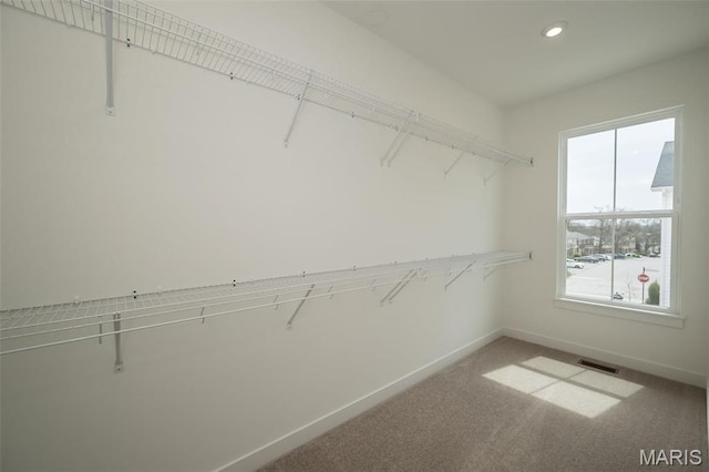 spacious closet featuring carpet