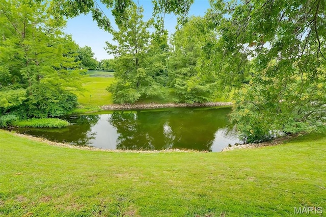 1935 Greenglen Dr Unit 204, Saint Louis, MO 63122 - photo 21