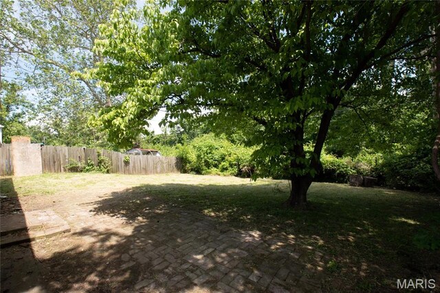 135 Dundee Cir, Saint Louis, MO 63137 - view of yard