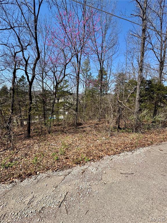 8982 Oriole Cir, French Village, MO 63036