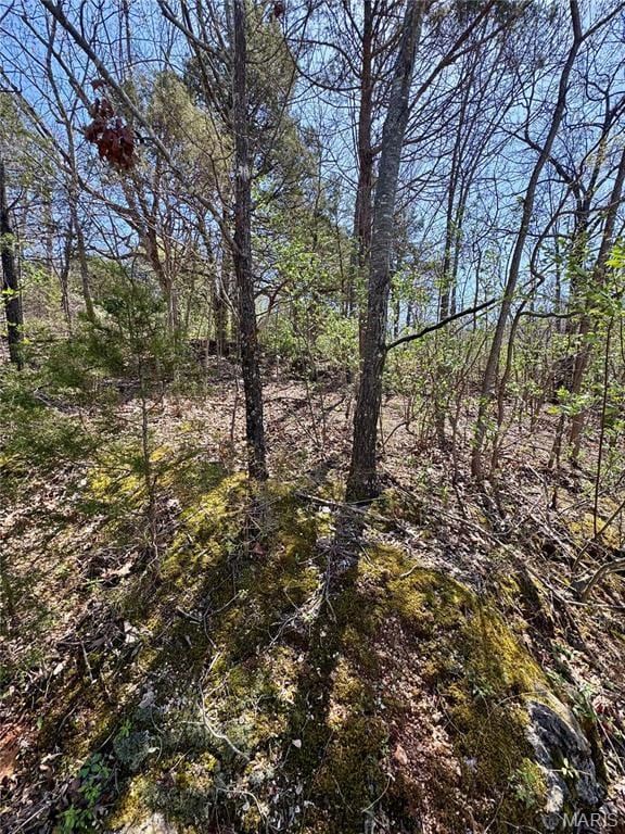 8982 Oriole Cir, French Village, MO 63036