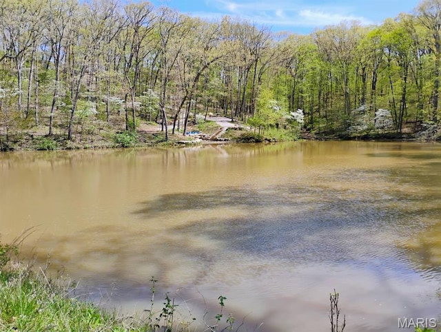 10518 Lakeview Circle Dr, Marthasville, MO 63357 - water view