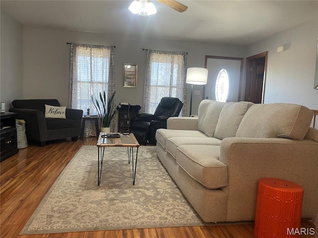 4101 Juedeman Rd, Mo, MO 65453 - living area featuring plenty of natural light, ceiling fan, and wood finished floors