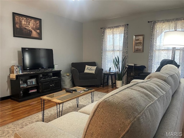 4101 Juedeman Rd, Mo, MO 65453 - living area featuring wood finished floors and plenty of natural light