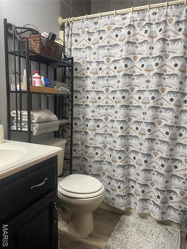 4101 Juedeman Rd, Mo, MO 65453 - bathroom with wood finished floors, vanity, toilet, and a shower with curtain
