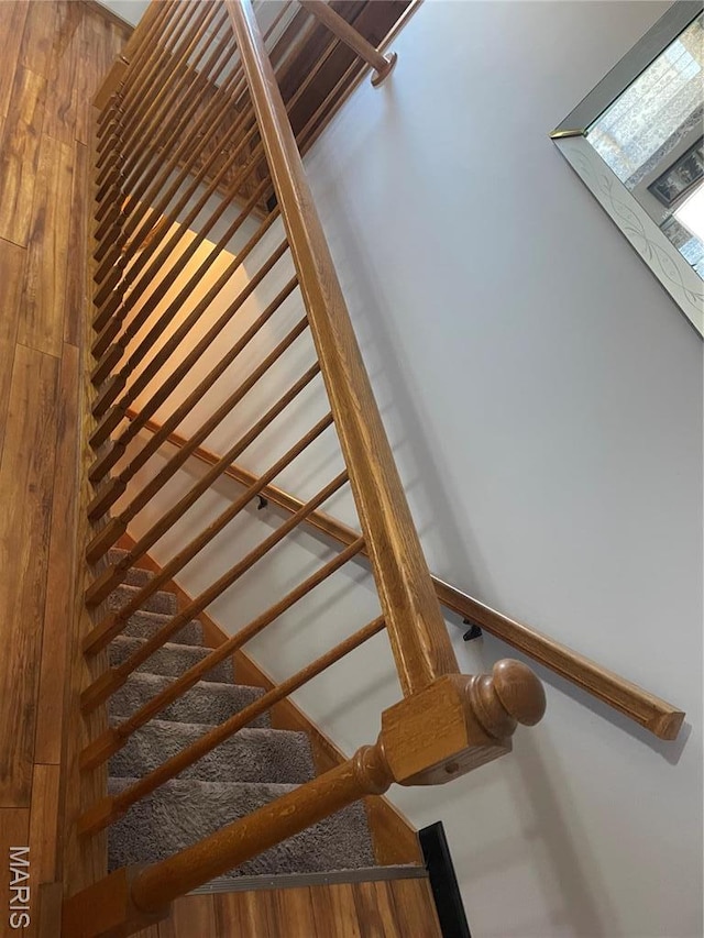 4101 Juedeman Rd, Mo, MO 65453 - view of stairs