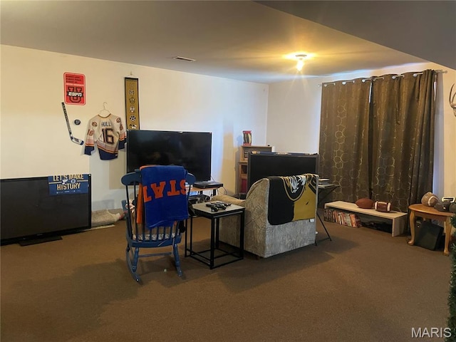 4101 Juedeman Rd, Mo, MO 65453 - living area with carpet floors