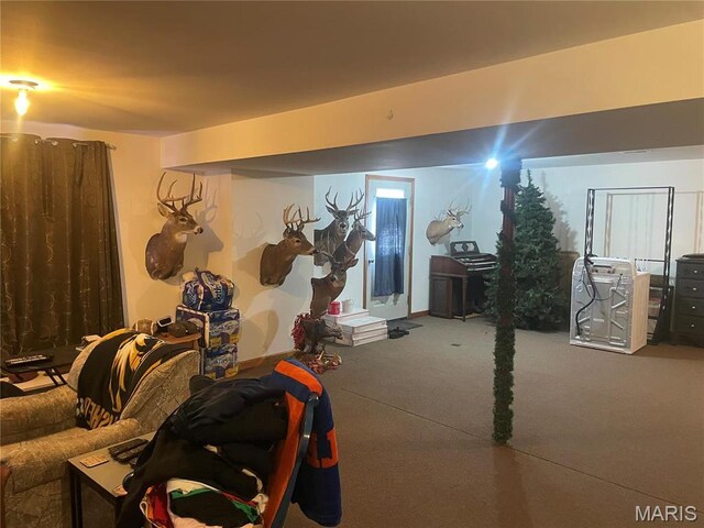 4101 Juedeman Rd, Mo, MO 65453 - basement with carpet