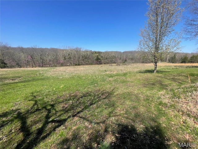 4101 Juedeman Rd, Mo, MO 65453 - view of yard with a rural view and a view of trees