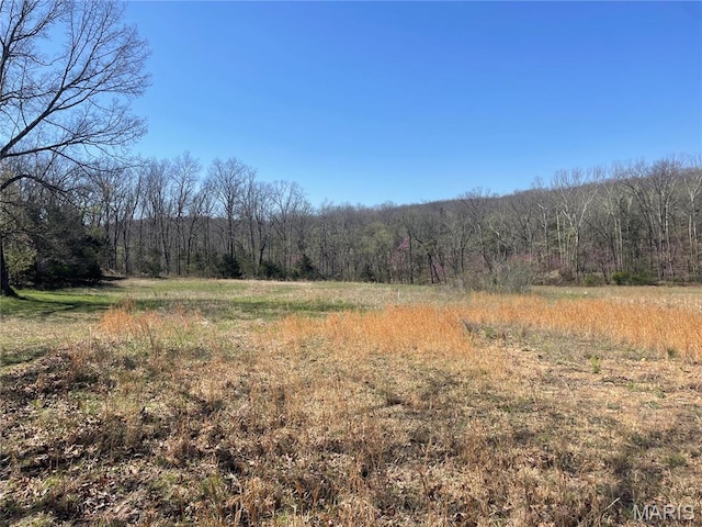 4101 Juedeman Rd, Mo, MO 65453 - view of woods