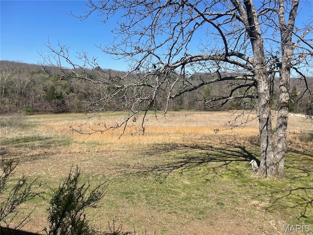 4101 Juedeman Rd, Mo, MO 65453 - view of tree filled area