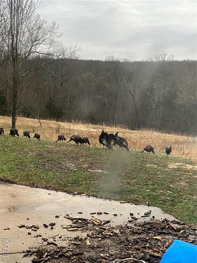 4101 Juedeman Rd, Mo, MO 65453 - view of nature featuring rural landscape